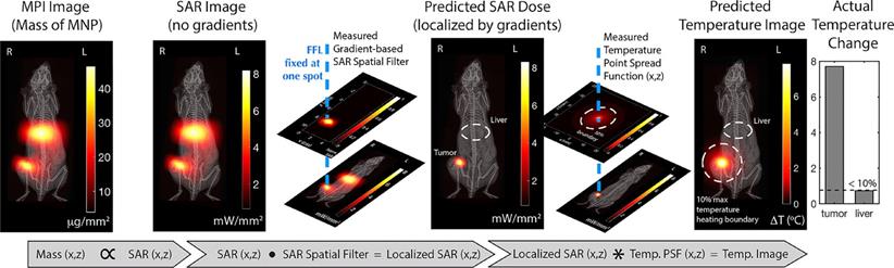 Theranostics Image