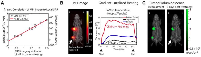 Theranostics Image