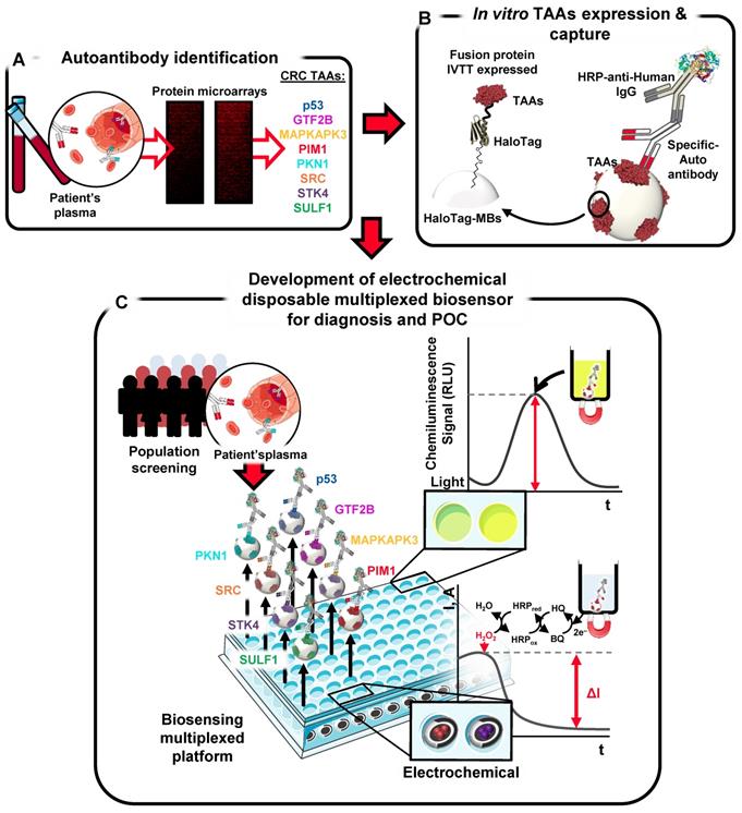 Theranostics Image