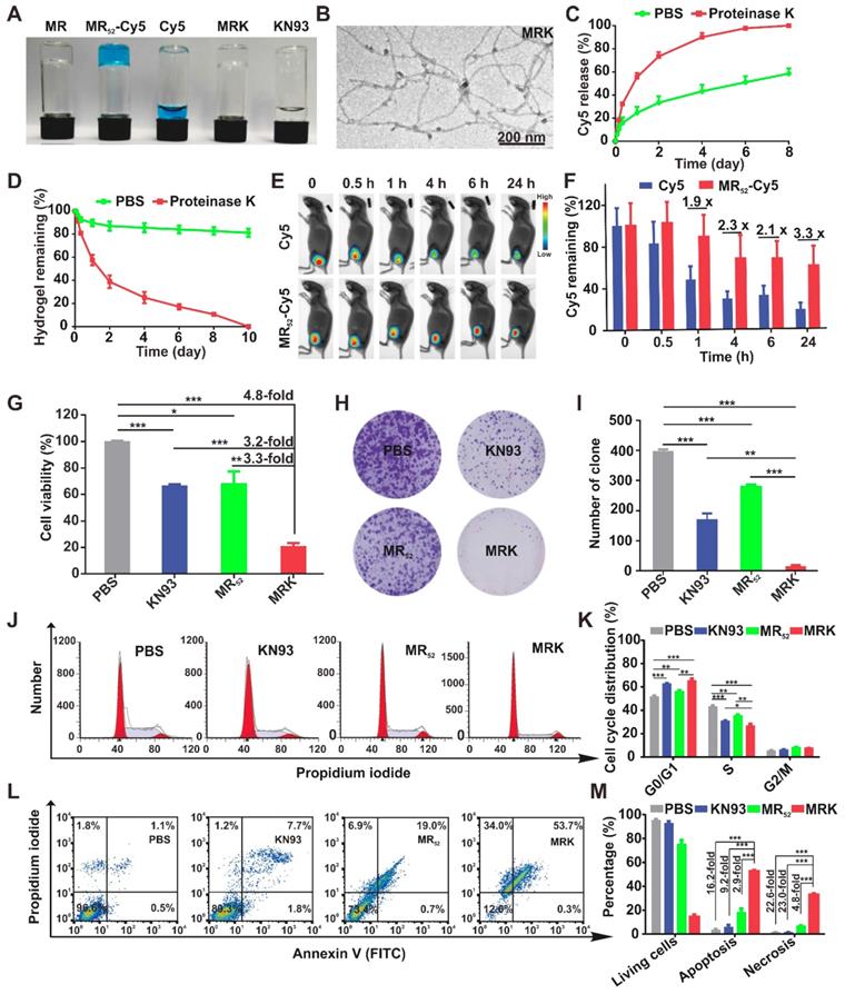 Theranostics Image