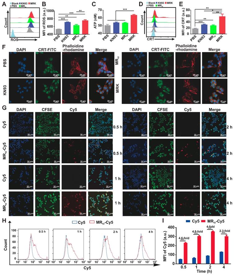 Theranostics Image