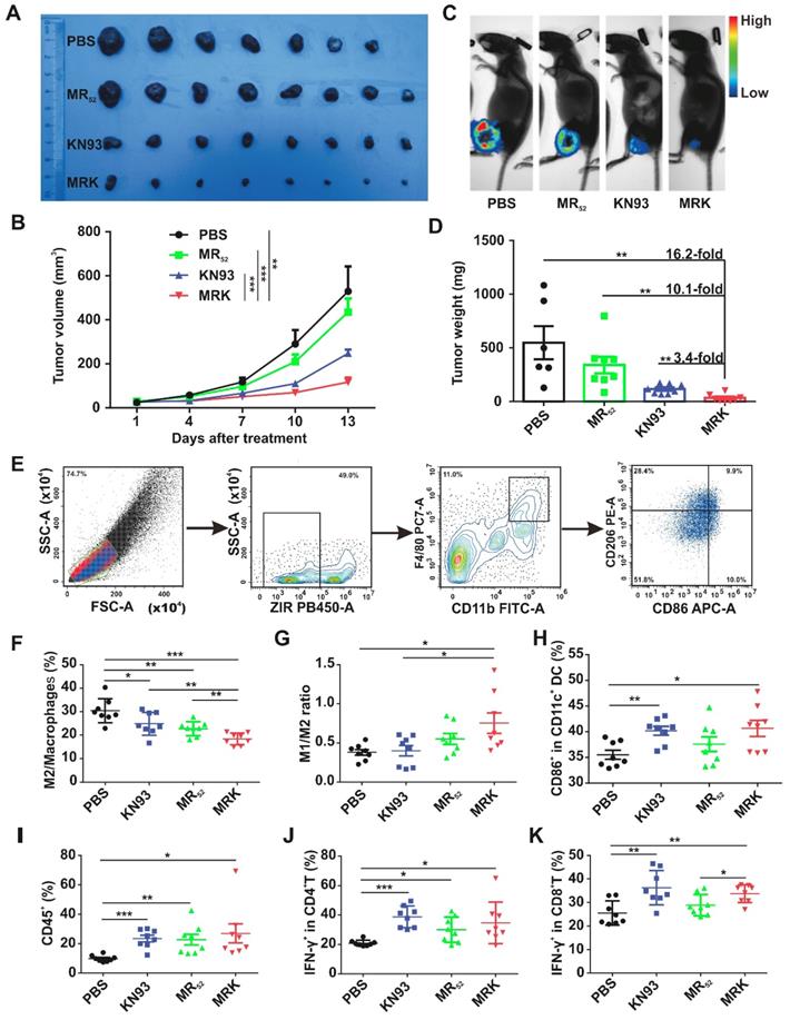 Theranostics Image