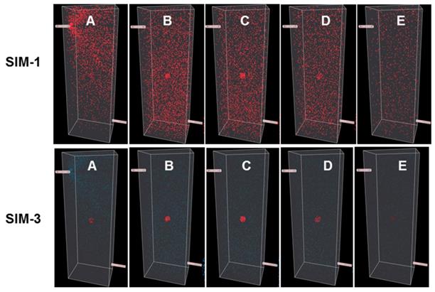 Theranostics Image