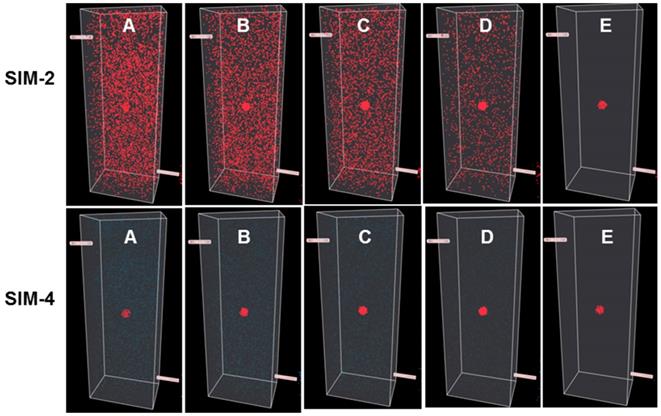 Theranostics Image