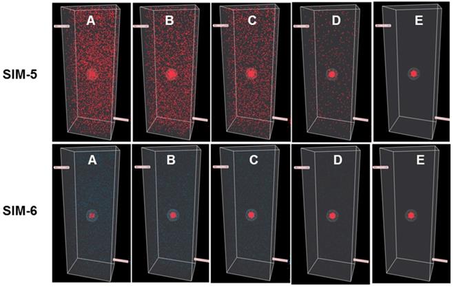 Theranostics Image