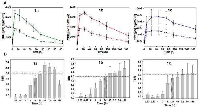 Theranostics Image