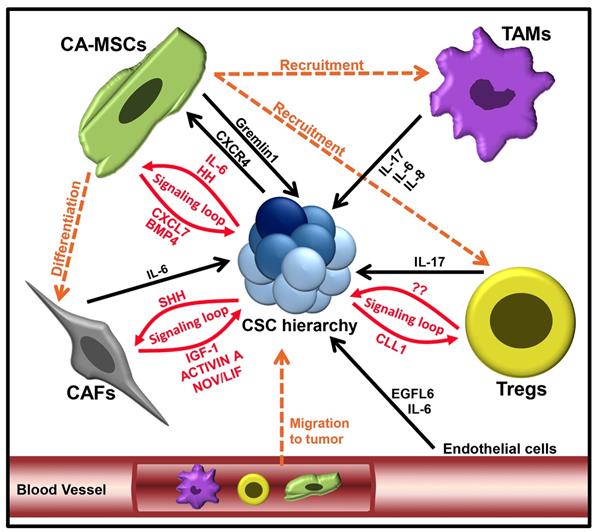 Theranostics Image