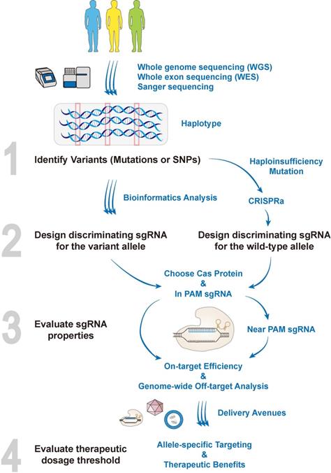 Theranostics Image