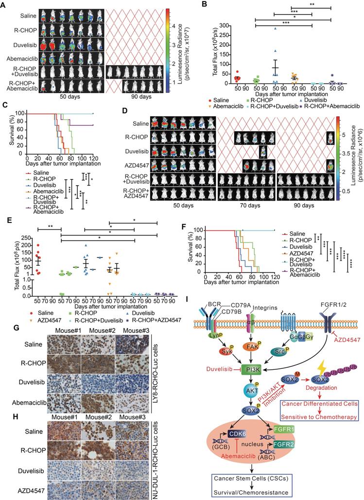 Theranostics Image