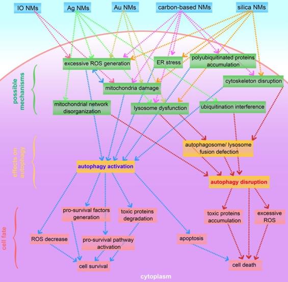 Theranostics Image