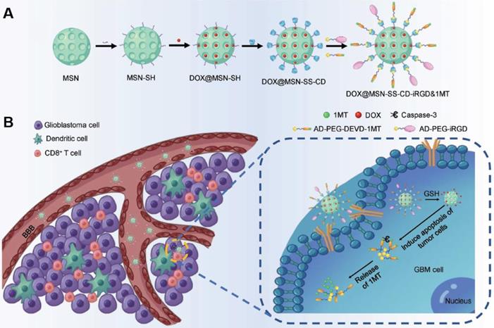 Theranostics Image