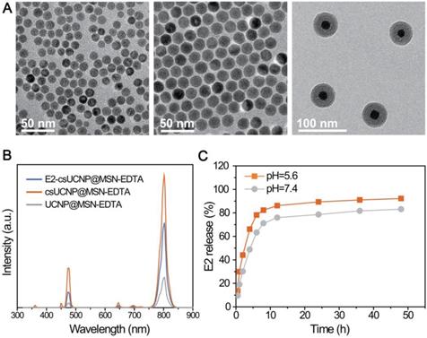 Theranostics Image