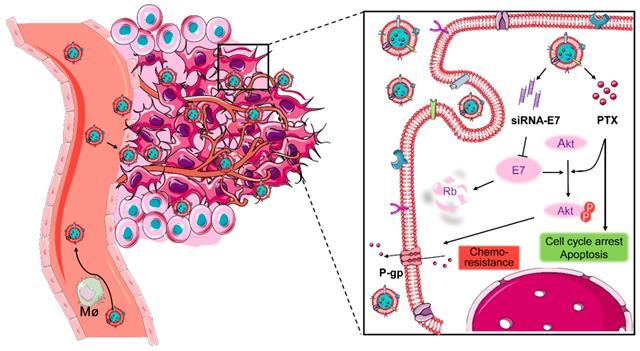 Theranostics Image