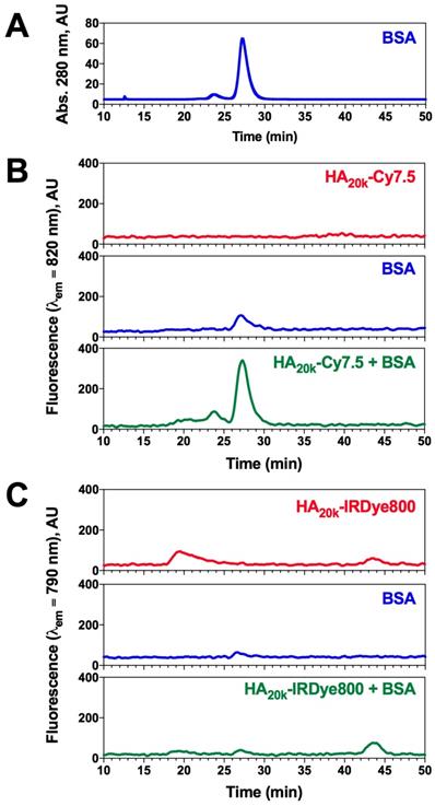 Theranostics Image