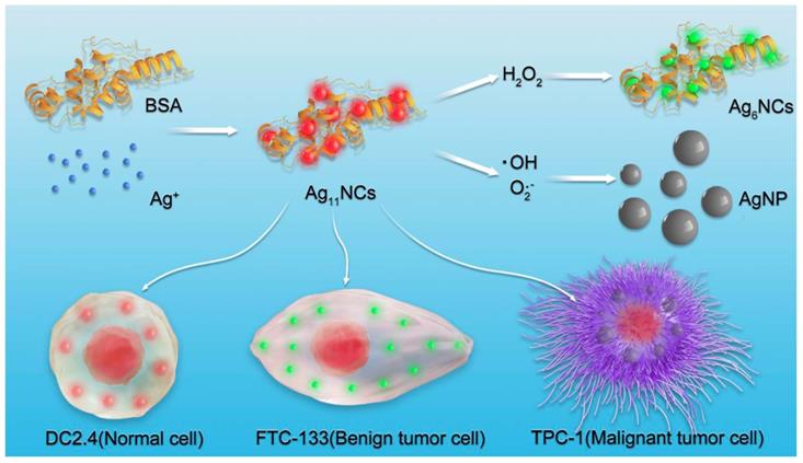 Theranostics Image