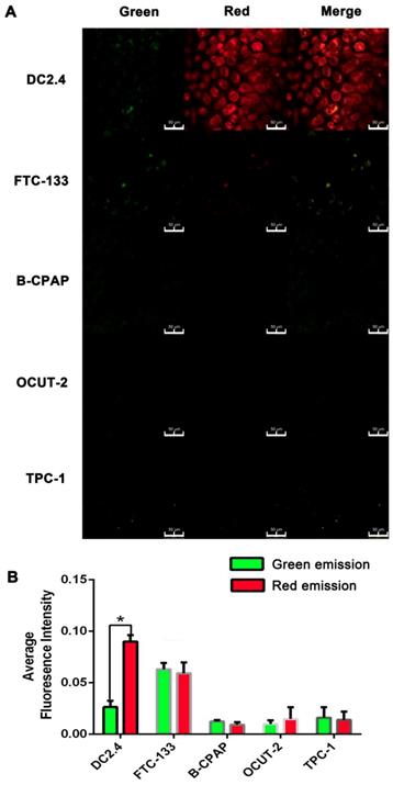 Theranostics Image