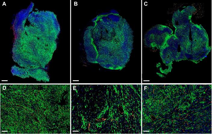 Theranostics Image