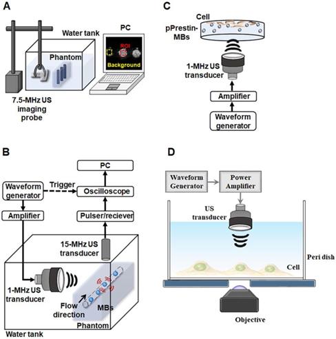 Theranostics Image