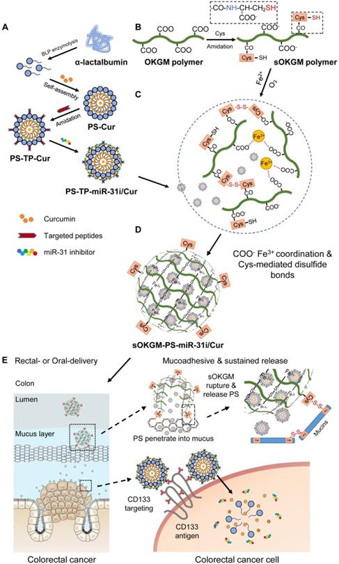 Theranostics Image