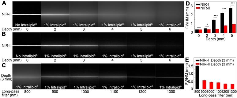 Theranostics Image