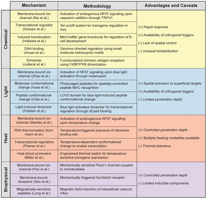 Theranostics Image