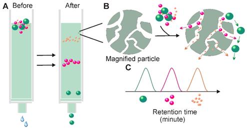 Theranostics Image