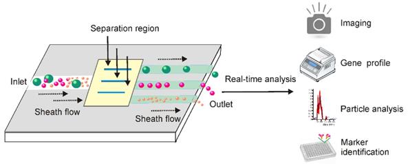 Theranostics Image