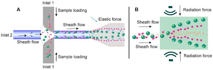 Theranostics Image