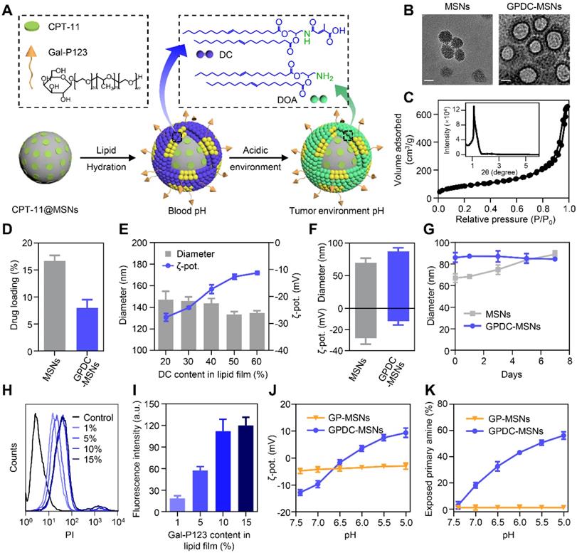 Theranostics Image