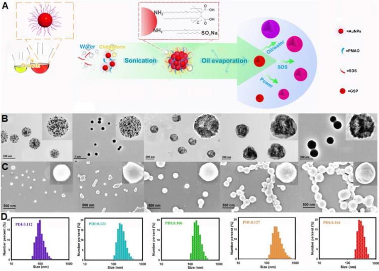 Theranostics Image