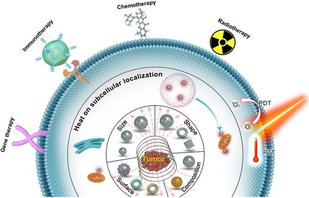 Theranostics Image