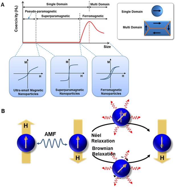 Theranostics Image