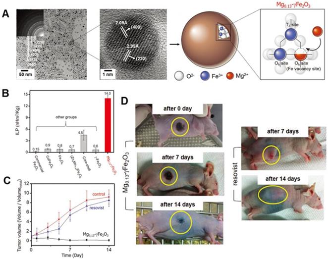 Theranostics Image