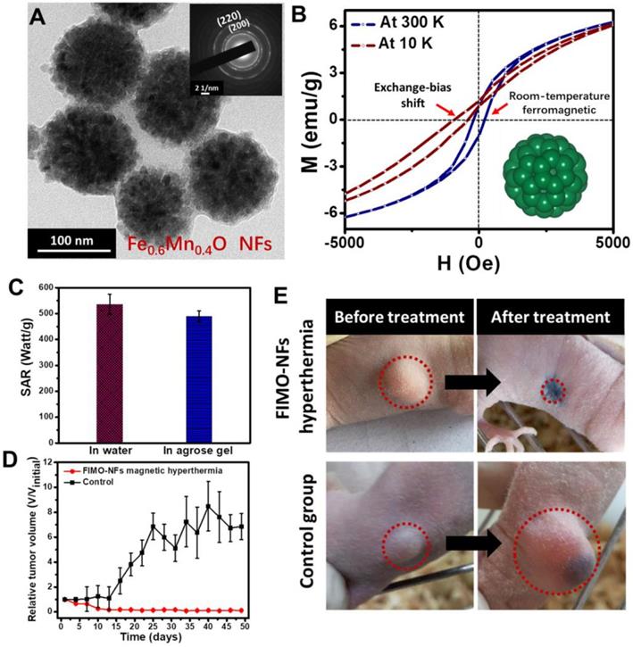 Theranostics Image