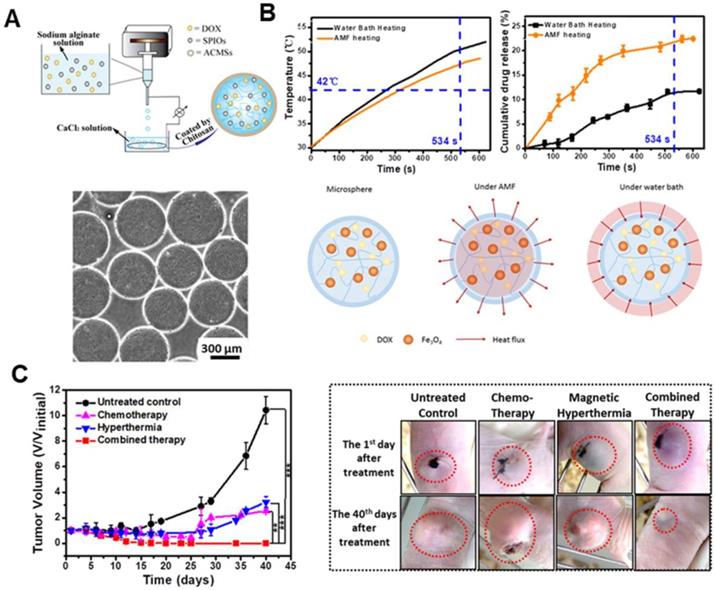 Theranostics Image