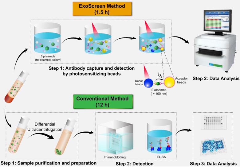 Theranostics Image