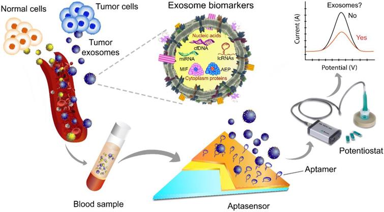 Theranostics Image