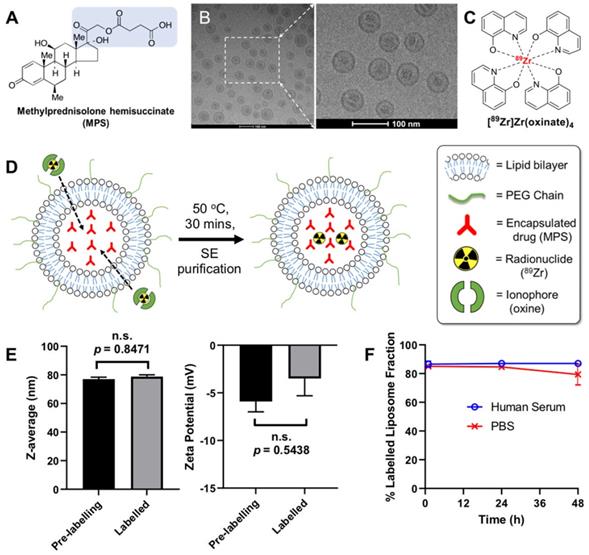 Theranostics Image