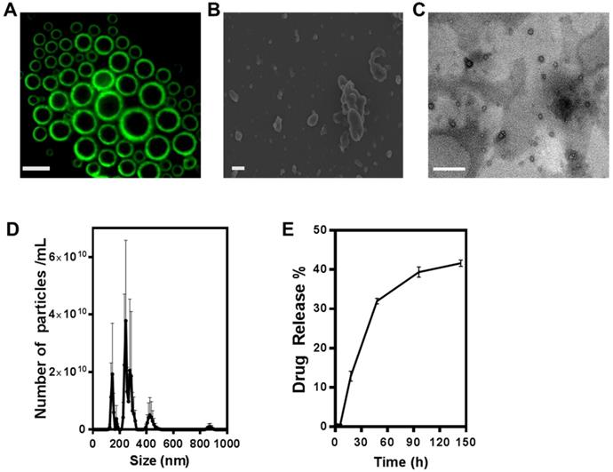 Theranostics Image