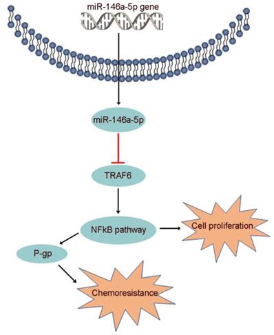 Theranostics Image