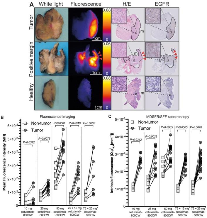 Theranostics Image