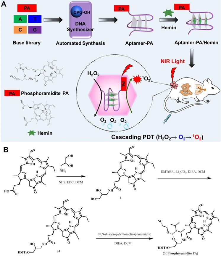 Theranostics Image