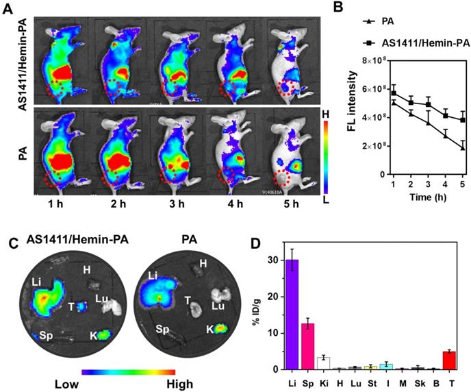 Theranostics Image