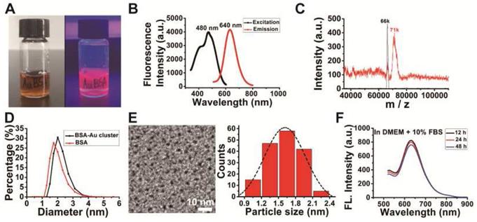 Theranostics Image