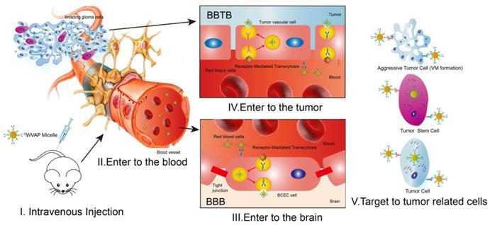 Theranostics Image