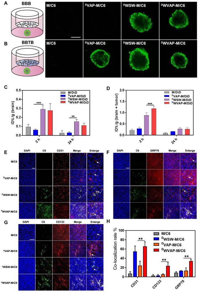 Theranostics Image