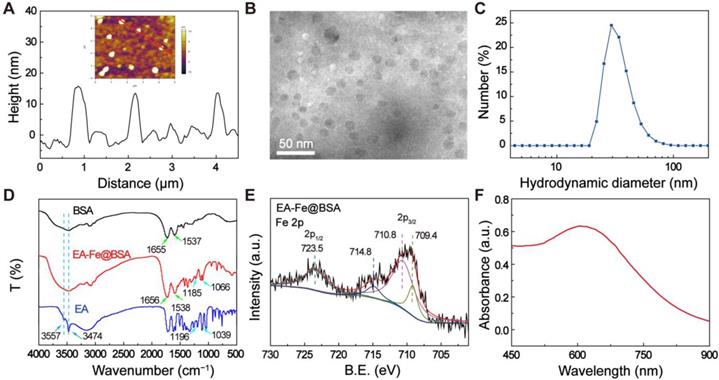 Theranostics Image