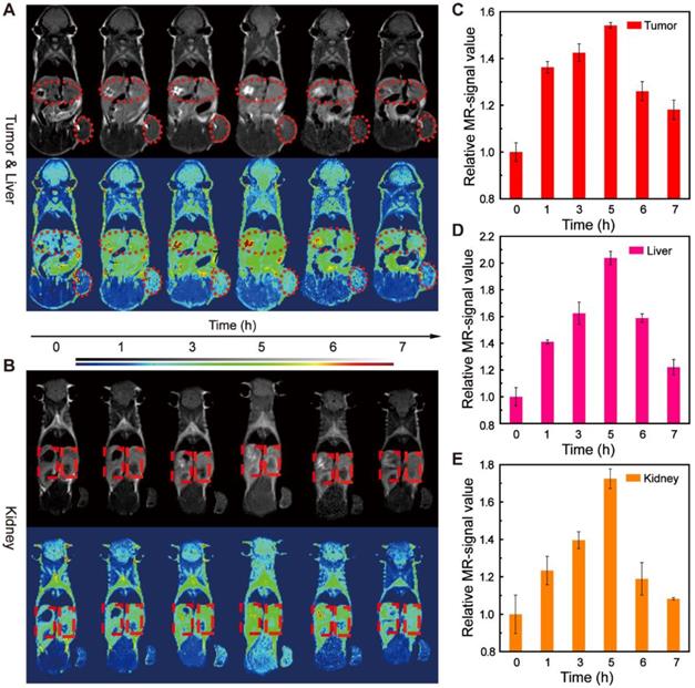 Theranostics Image