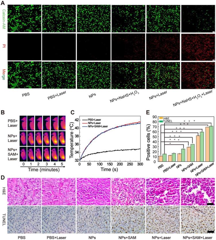 Theranostics Image