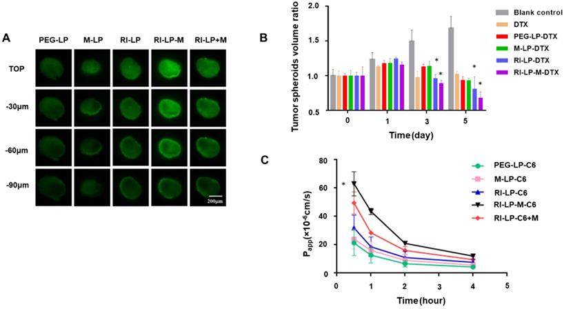 Theranostics Image